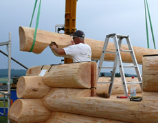 Bau eines Holzhauses	